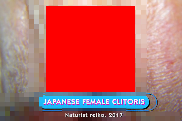 【動画有り】女医「これは日本人女性のクリトリスです」海外の性教育系動画で何故か日本人女性のクリトリスが公開されてしまうｗｗｗｗ【sexplanations】
