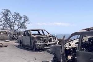 【火災】 ハワイ州マウイ島の動画にあまりにも悲しいシーンが映ってしまう。
