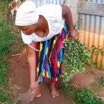 水洗トイレ(手動)…アフリカの村で暮らす女性が(ノーブラで)家の様子を紹介する動画【Lily Munyasi】