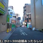 【NK流】埼玉県最大の風俗街「西川口」にある風俗店37店舗を解説した動画【プロ風】