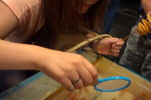 【Youtubeの闇】金魚すくいをしている女性を撮影した動画を多数投稿しているチャンネル