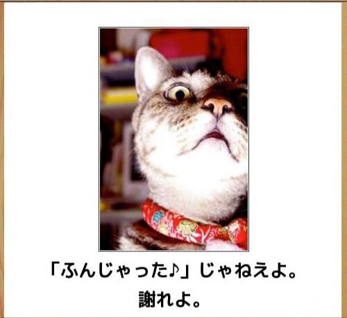 笑った画像を貼って『マスコミの印象操作方法』