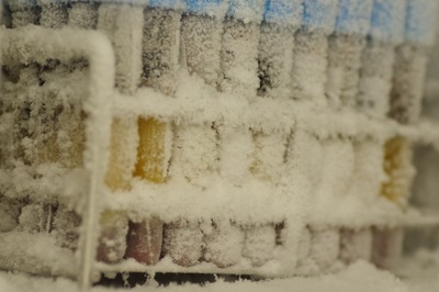 【衝撃】 人間を毎日5分間『マイナス90度の冷凍室』にぶち込んだ結果…