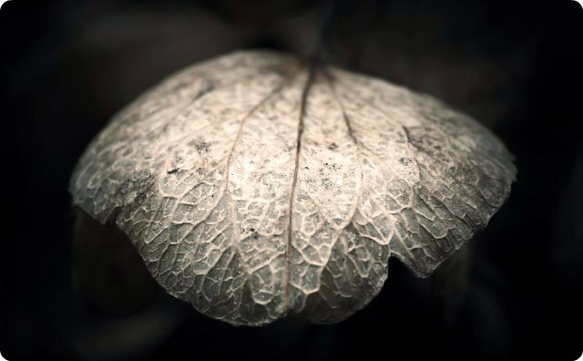 虐待されまくった小学生（４年）の身体、見てられない…