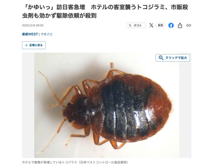 【緊急】 トコジラミ、駆除依頼が殺到