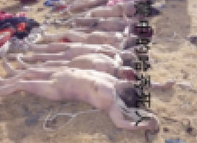 【閲覧注意】 女性20人が全裸で並べられた。今から何が起こるか