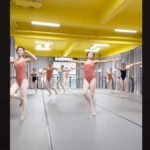 とあるバレエ教室のレッスン風景を撮影した、ただそれだけの動画