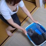 ネコと奥さんのおっぱいでチャンネル登録者数20万人！なYoutuber【kokesukepapa】