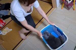 ネコと奥さんのおっぱいでチャンネル登録者数20万人！なYoutuber【kokesukepapa】