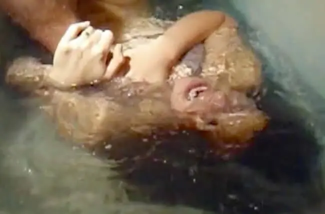 【閲覧注意】 出演女優が死亡したと噂のAV、ガチでやり過ぎてて震える（動画あり）