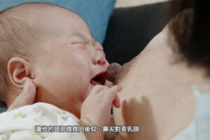 黒乳首授乳動画