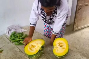 ノーブラ爆乳インド人女性がカボチャを切る動画