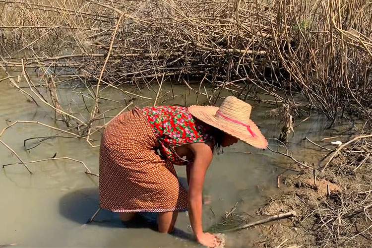 池でタニシっぽい貝を採取して料理するノーブラ田舎Youtuber